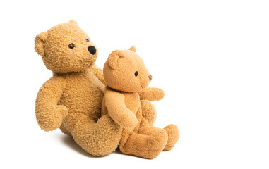 soft teddy bears isolated