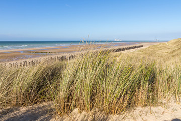 Fototapeta na wymiar Dunes et plage de Sangatte