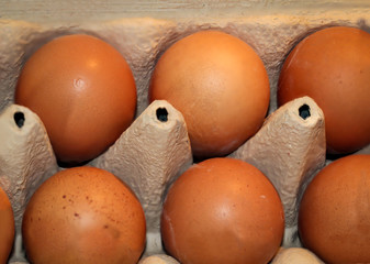Braune Eier in einer Verkaufsbox für Eier