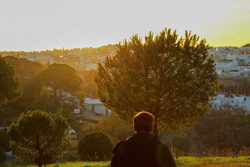 Amazing landscape whit plants and animals