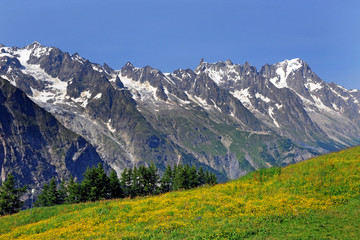 Italy , Aosta , Courmayer is a fantastic place for his mountains - mont Blanc and Monte Rose with snow diuring the summer