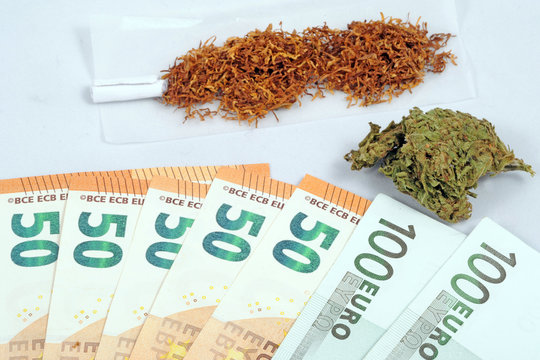 Cannabis and marijuana with high cbd and low thc - flower - light smoking drug - legal and illegal substances - healing herb - ganja oli - tcb and cbd