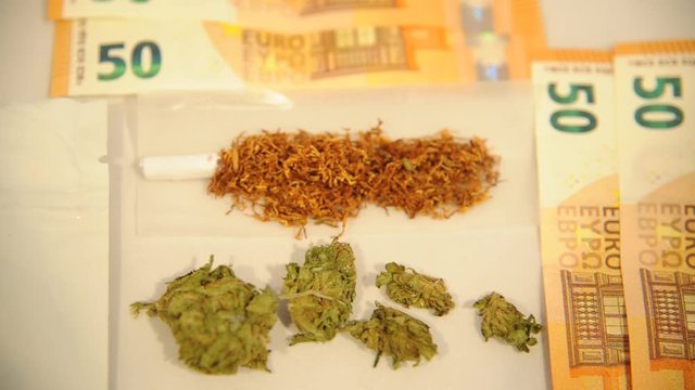 Drugs Hashish and marjuana ( Maria ) - make a joint to smoke  - narco traffic and money 