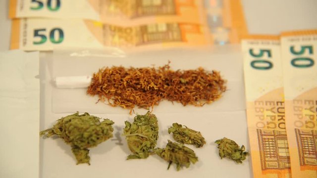Drugs Hashish and marjuana ( Maria ) - make a joint to smoke  - narco traffic and money 