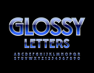 Vector Glossy Alphabet Letters, Numbers and Symbols. Chic Blue and Silver Font.