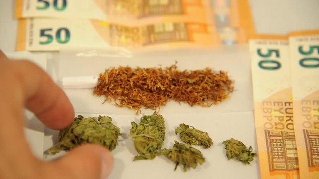 Drugs Hashish and marjuana ( Maria ) - make a joint to smoke  - narco traffic and money 