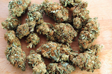 Drugs Hashish and marjuana ( Maria ) - make a joint to smoke  - narco traffic and money 