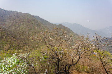 The great wall of China