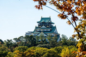 Fototapeta premium Osaka Castle in Osaka with autumn leaves. Japan Travel Concept