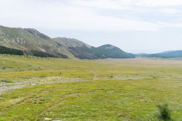 Mountain panorama with green plain and grazing sheep