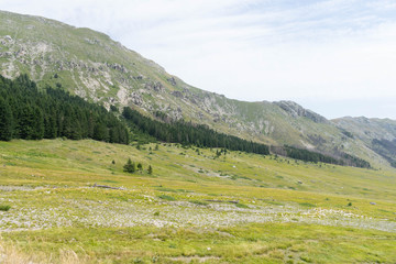 Fototapeta na wymiar Mountain panorama with green plain and grazing sheep