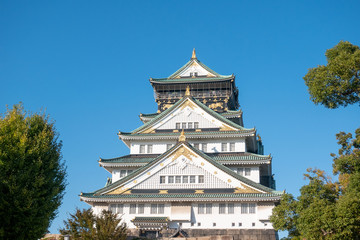 Fototapeta premium Osaka Castle in Osaka with autumn leaves. Japan Travel Concept