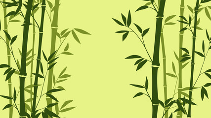 Fototapeta na wymiar Bamboo forest for background EPS 10