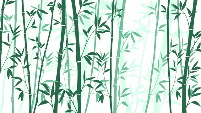 Bamboo forest for background EPS 10