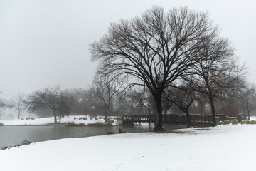White Rock Lake. Dallas, Texas.