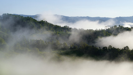 Foggy sunrise in Thailand