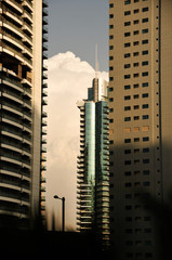 View of the tall buildings of the city