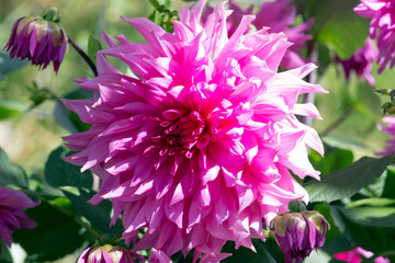 Fototapety na wymiar - Fototapeta24.pl