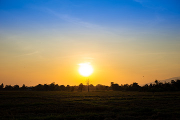 Beautiful sunset golden time and twilight sky landscape background. Concept for dramatic scene and fresh air in nature environment at the country side.