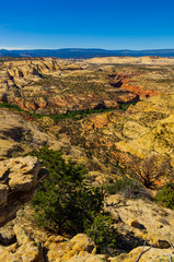 Colorado Plateau