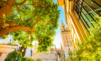 Seville city in summer, sunny Spain - obrazy, fototapety, plakaty