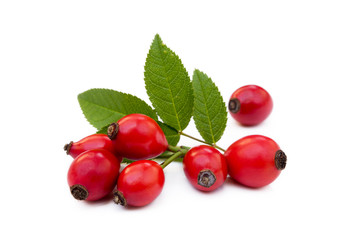 Ripe rose hip isolated on white background