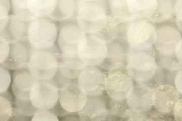 white bokeh is beautiful have nature background