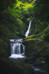 野鹿の滝