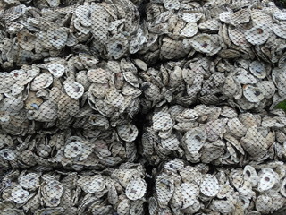 stacked bags of oyster shells