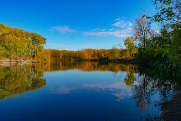 Fototapeta na wymiar reflection of trees in water of a lake near Vienna