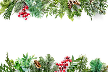 Flat lay composition with winter fir branches, cones, holly isolated on white background