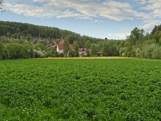 Fototapeta na wymiar A view from the countryside on the tsmall own of Bebenhausen, near Tuebingen in Swabia, Germany.