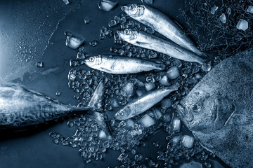 Raw fresh tuna, herring and flounder fish on crushed ice over dark wet metal background. Top view...