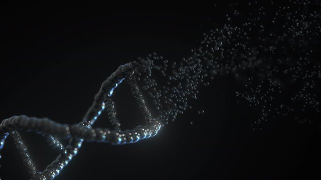 Destructing black DNA molecule. Loopable conceptual 3D animation