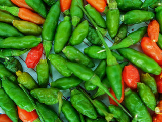 small Chilies 