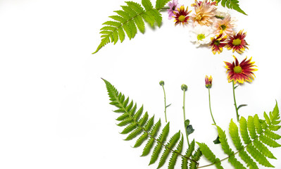 a collection of leaves and flowers in season on a white background