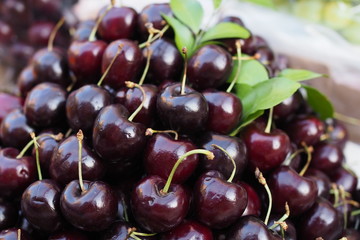 Fresh sweet cherries with leaves