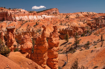 Hoodoos along the hiking trail in Bryce Canyon National Park, Utah, USA.