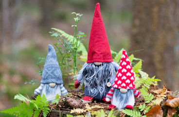 drei wichtel zu weihnachten im wald