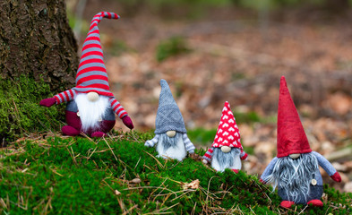 wichtel familie im wald