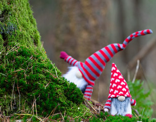 wald wichtel