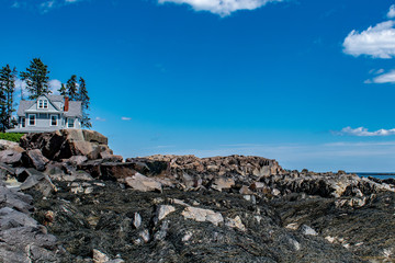 Fototapeta na wymiar A Rocky Beach in Coastal Maine