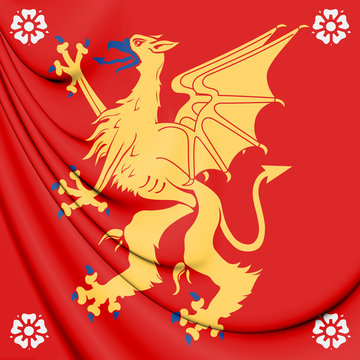 3D Flag of Ostergotland County, Sweden. 3D Illustration.