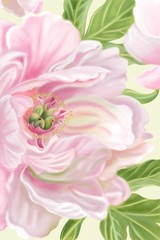 Naklejki  Pęczek słodkich róż kwitnących kwiatów piwonii i zielonych liści, cyfrowe rysowanie ręczne i malowanie obrazu.