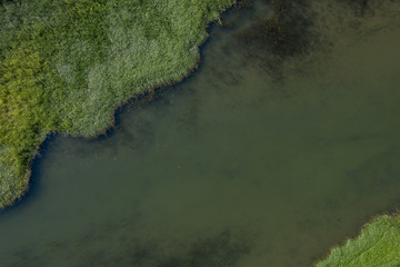 River and algae landscape top view