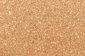Cork board background for decoration (Vector)