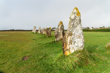 Standing stones in Brittany. Alignment of menhirs on a green meadow and under a gray sky.