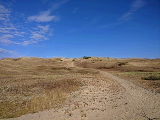 Path surrounded by the Grey Dunes in Lithuania