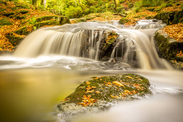 Waterfall and autumn leaves in forest, Ireland