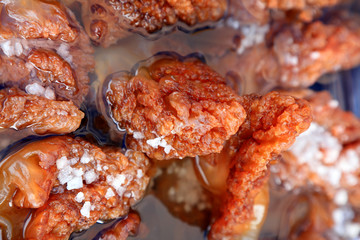 Chinese food jellyfish